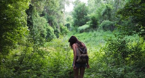 Books About Nature and Wildness | BookRiot.com