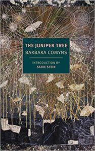 the juniper tree