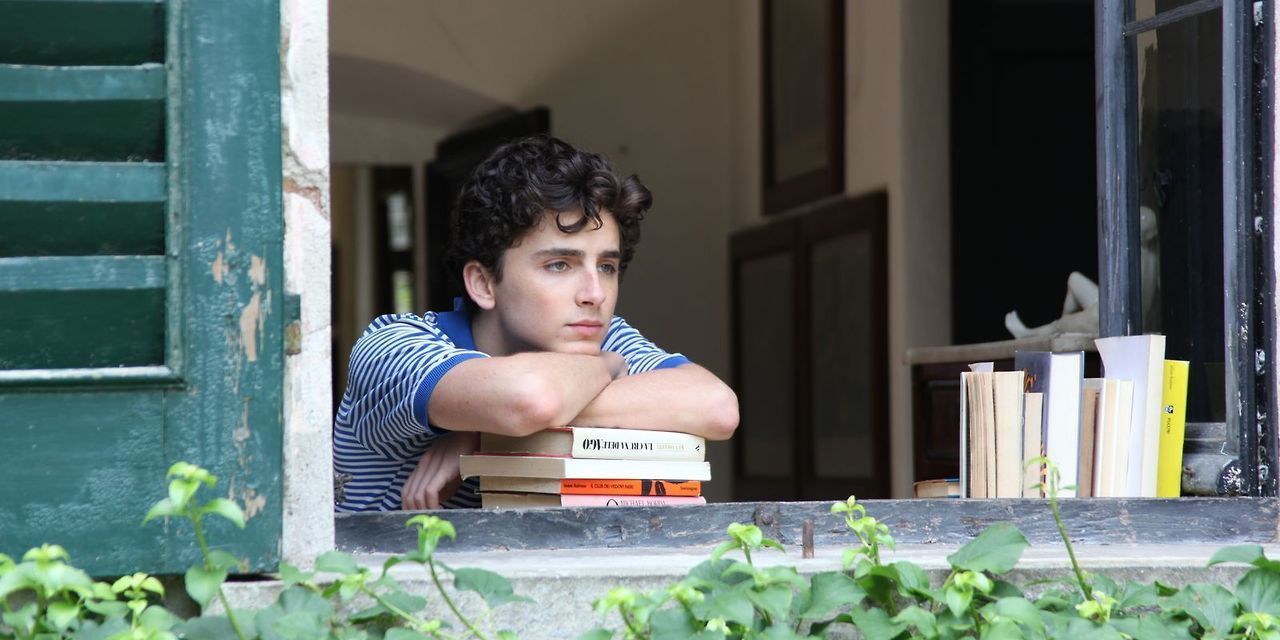 My Favorite Call Me By Your Name Quotes From The Novel