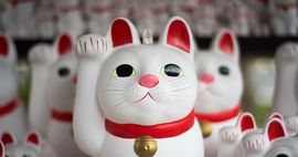 Japanese cat toys in Quotes from The Wind-up Bird Chronicle | BookRiot.com