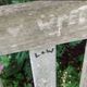 Lyra and Will's bench, Oxford Botanic Gardens