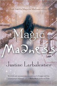Magic or Madness book cover