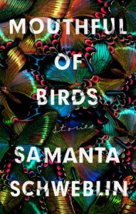 Mouthful of Birds Samanta Schweblin Cover