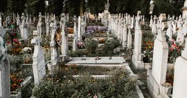 Photo by Anton Darius | @theSollers on Unsplash