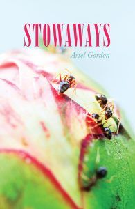 Stowaways by Ariel Gordon cover