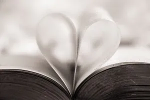 the 5 bookish love languages