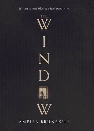 Book cover of the window by amelia brunskill