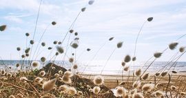 Image of rural France for post about book towns of france