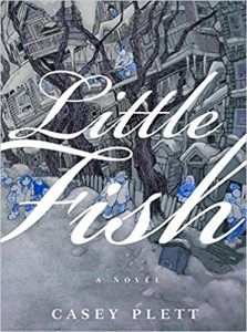 little fish by casey plett cover