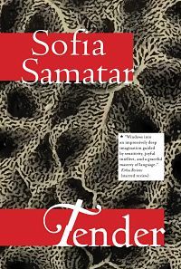 Book cover of Tender by Sofia Samatar