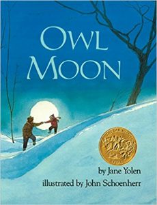 owl and moon book owl and moon book