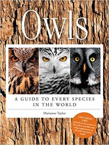 Owl Books Perfect For Every Kind Of Reader, Children Through Adults.