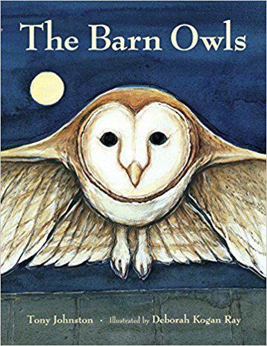 Owl Books Perfect For Every Kind Of Reader, Children Through Adults.