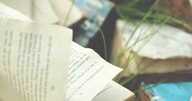 Fall YA Paperback Books