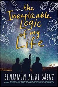 the inexplicable logic of my life book cover