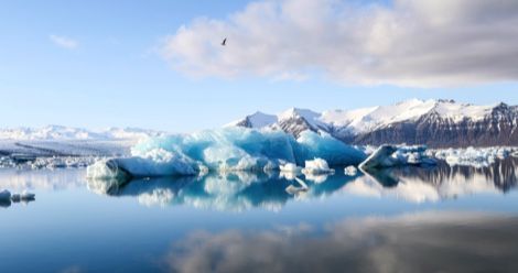 books about the arctic and antarctic