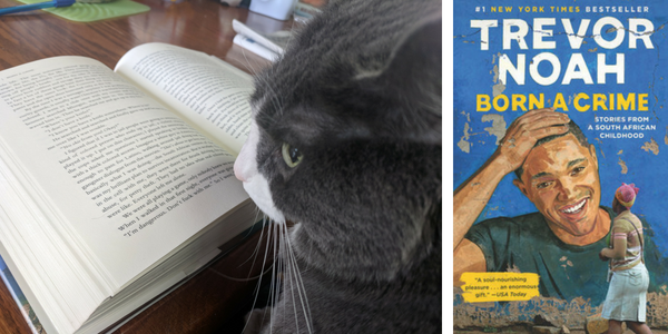 My cat reviews Born a Crime by Trevor Noah