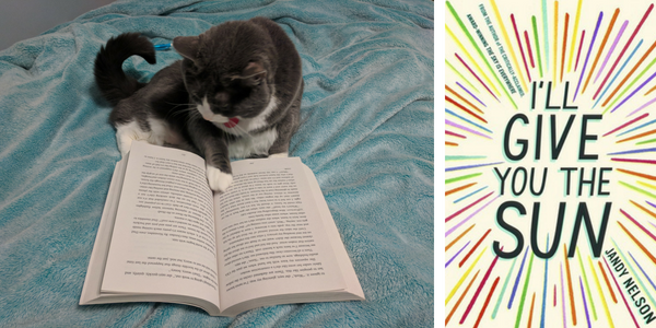 My cat reviews I'll Give You the Sun by Jandy Nelson