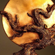 world fantasy awards