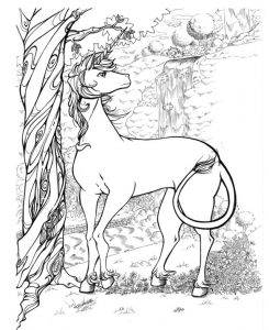 7000 Top Unicorn Get Coloring Pages , Free HD Download