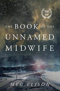 The Book of the Unnamed Midwife (The Road to Nowhere 1) by Meg Elison
