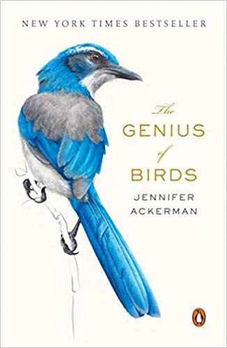 Book cover of The Genius of Birds by Jennifer Ackerman