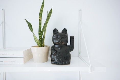 cat bookends