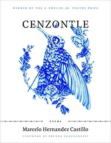 Cenzontle book cover