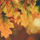 75 Spectacular New Books You Need to Read This Fall