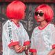 literary twins quiz feature