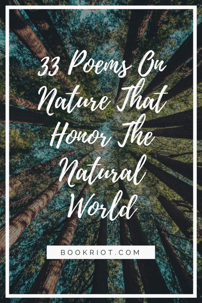 33 Poems On Nature That Honor The Natural World | Book Riot