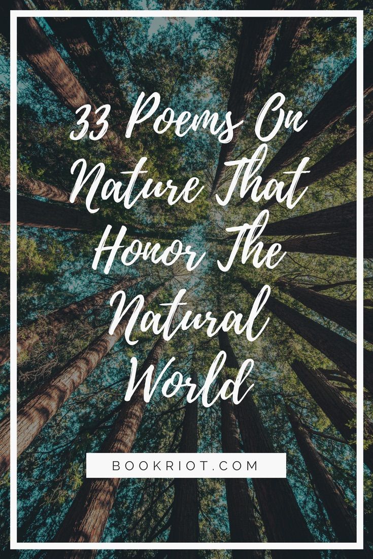 33 poems about nature that honor the natural world. poetry | nature poems | poems about nature