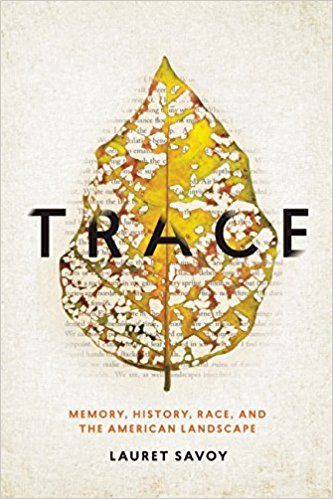 Cover of the book Trace by Laurent Savoy, there is a faded yellow leaf on the cover