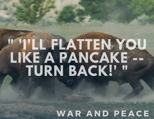 35 WAR AND PEACE Quotes  So You Can Say You ve Read It  - 87