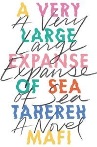 A Very Large Expanse of Sea cover