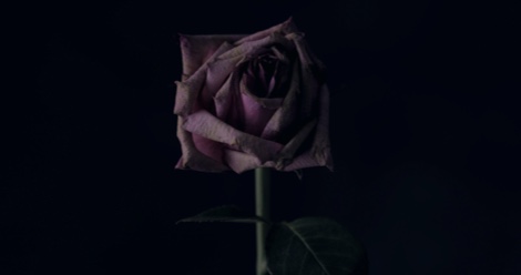 horror romance subgenre