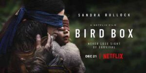 Bird Box Netflix promo image