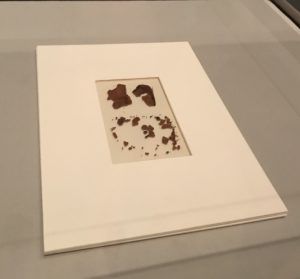 Frankenstein Turns 200 Morgan Library Skull Fragments