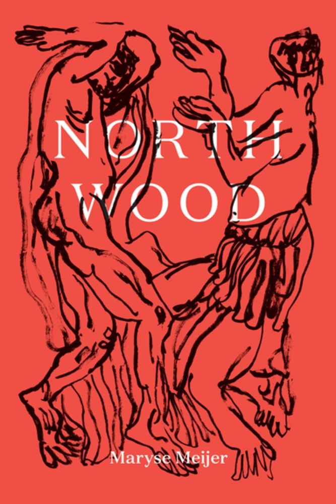 Couverture du livre Northwood de Maryse Meijer