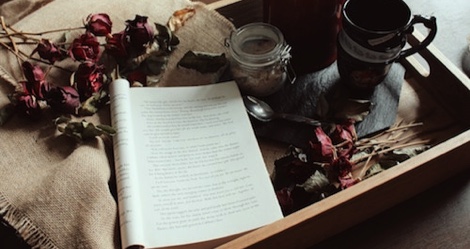 bookish items for holiday gift giving