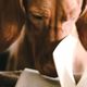dog books feature
