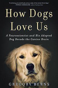 8 Pawsitively Perfect Books for First Time Dog Parents - 75