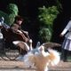 film still from the secret garden for the secret garden reading list
