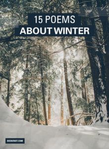 15 Reflective Winter Poems For Cold Nights | Book Riot