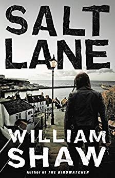 Salt Lane by William Shaw cover image