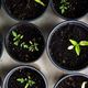 books about gardening