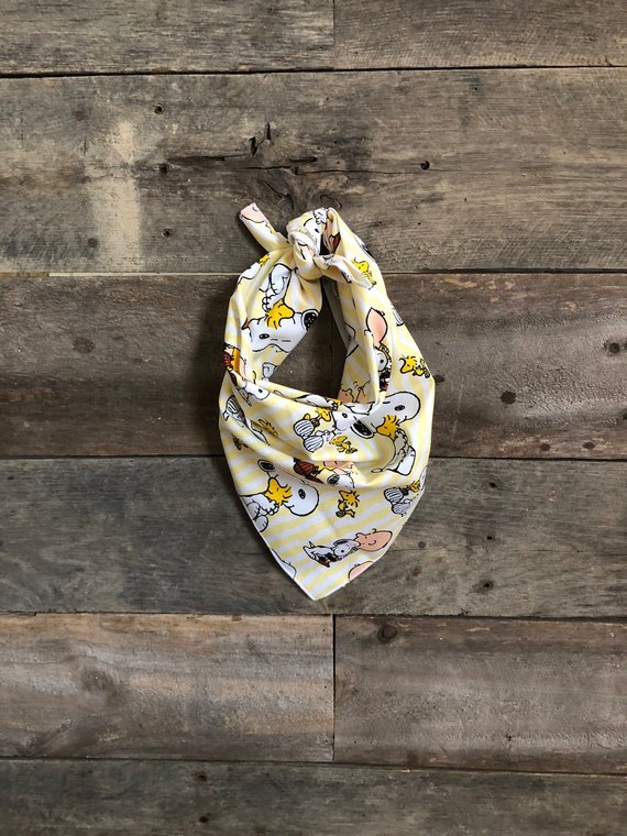 picture-of-charlie-brown-dog-bandana