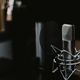 fiction audiobooks narrated by the authors