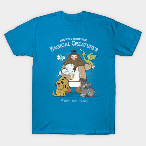 Hagrid's Home for Magical Creatures Tee