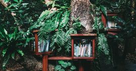 how to maintain a little free library